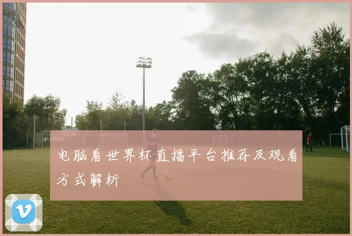 电脑看世界杯直播平台推荐及观看方式解析