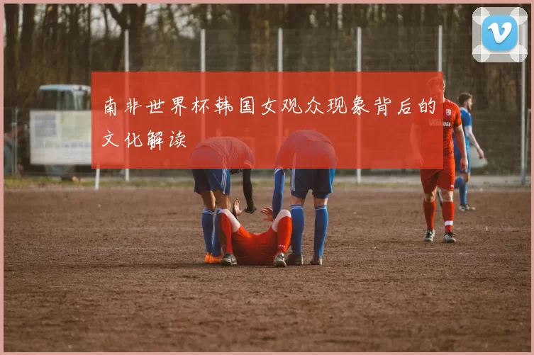 南非世界杯韩国女观众现象背后的文化解读