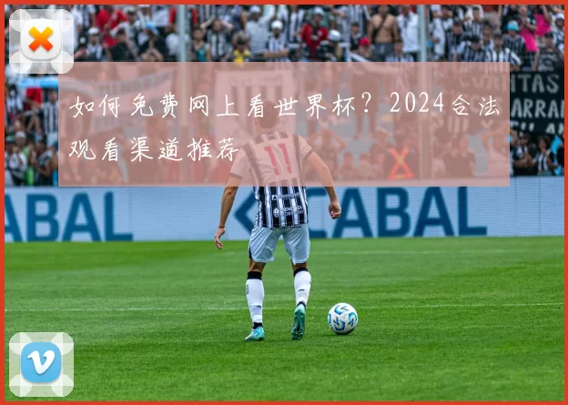 如何免费网上看世界杯？2024合法观看渠道推荐