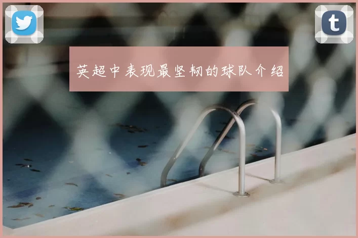 英超中表现最坚韧的球队介绍