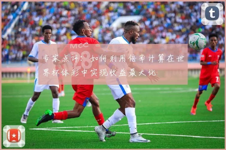 专家点评：如何利用倍率计算在世界杯体彩中实现收益最大化