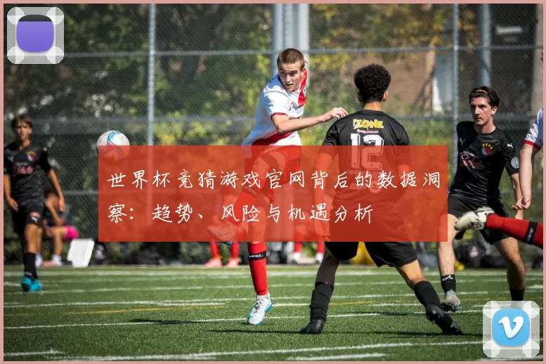 世界杯竞猜游戏官网背后的数据洞察：趋势、风险与机遇分析