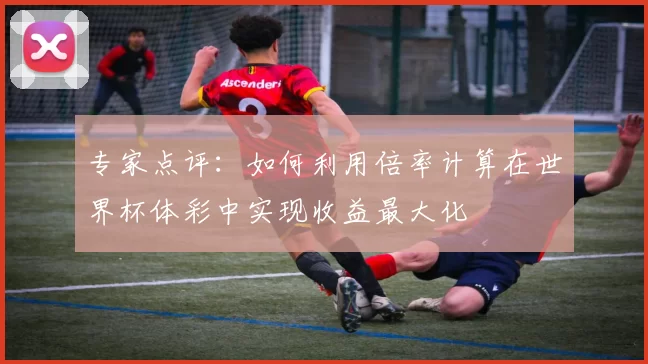 专家点评：如何利用倍率计算在世界杯体彩中实现收益最大化