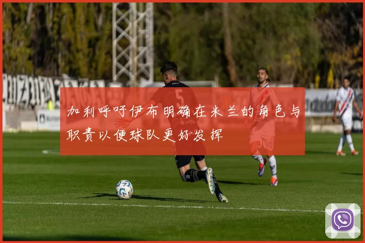 加利呼吁伊布明确在米兰的角色与职责以便球队更好发挥