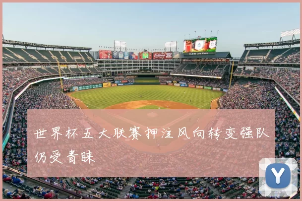 世界杯五大联赛押注风向转变强队仍受青睐