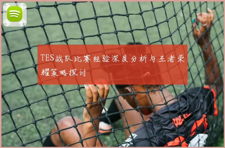 TES战队比赛经验深度分析与王者荣耀策略探讨