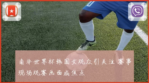 南非世界杯韩国女观众引关注 赛事现场观赛画面成焦点