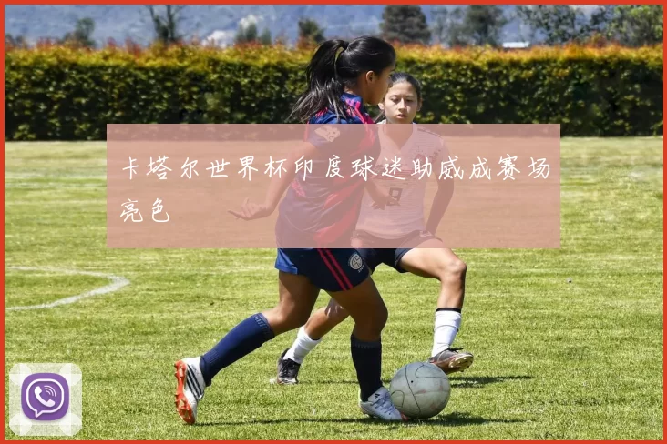 卡塔尔世界杯印度球迷助威成赛场亮色