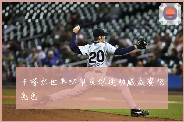 卡塔尔世界杯印度球迷助威成赛场亮色